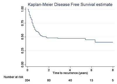 T1 Bladder Cancer: Comparison of the Prognostic Impact of Two Substaging Systems on Disease Recurrence and Progression and Suggestion of a Novel Nomogram